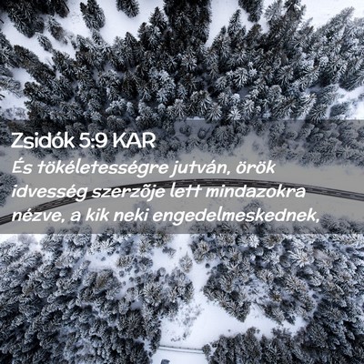 Picture 02 - Zsidók 5:9 KAR - És tökéletességre jutván, örök idvesség - Bible Verse Picture