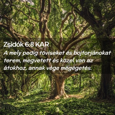 Picture 02 - Zsidók 6:8 KAR - A mely pedig töviseket és bojtorjánokat terem, - Bible Verse Picture