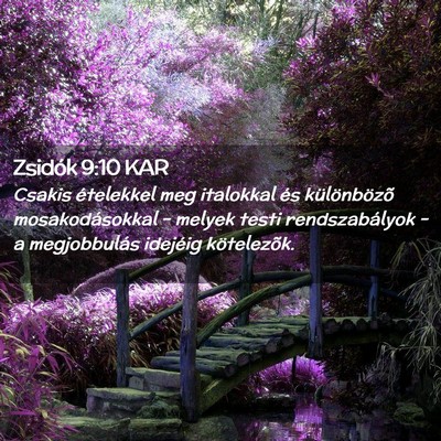 Picture 02 - Zsidók 9:10 KAR - Csakis ételekkel meg italokkal és különbözõ - Bible Verse Picture