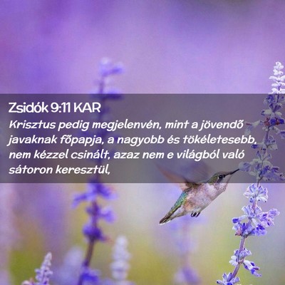Picture 02 - Zsidók 9:11 KAR - Krisztus pedig megjelenvén, mint a jövendõ - Bible Verse Picture