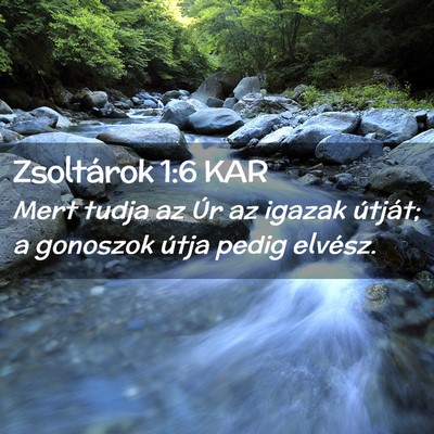 Picture 02 - Zsoltárok 1:6 KAR - Mert tudja az Úr az igazak útját; a gonoszok - Bible Verse Picture