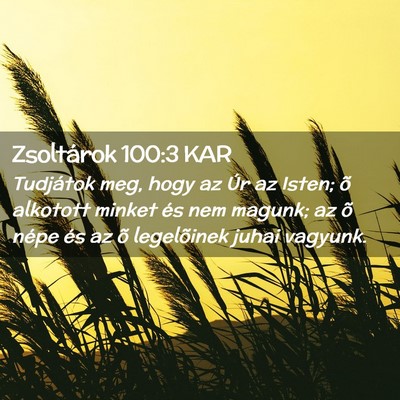 Picture 02 - Zsoltárok 100:3 KAR - Tudjátok meg, hogy az Úr az Isten; õ alkotott - Bible Verse Picture