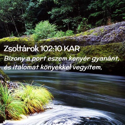 Picture 02 - Zsoltárok 102:10 KAR - Bizony a port eszem kenyér gyanánt, és - Bible Verse Picture