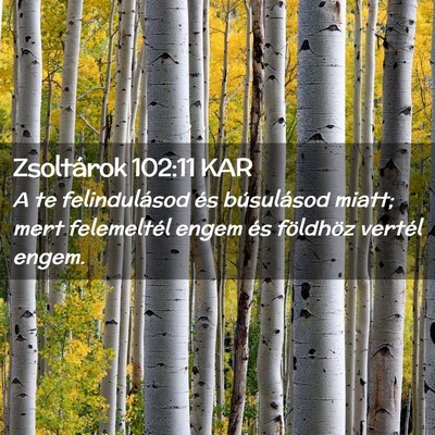 Picture 02 - Zsoltárok 102:11 KAR - A te felindulásod és búsulásod miatt; mert - Bible Verse Picture