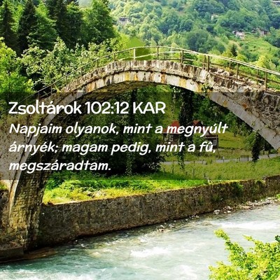 Picture 02 - Zsoltárok 102:12 KAR - Napjaim olyanok, mint a megnyúlt árnyék; magam - Bible Verse Picture