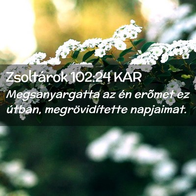 Picture 02 - Zsoltárok 102:24 KAR - Megsanyargatta az én erõmet ez útban, - Bible Verse Picture