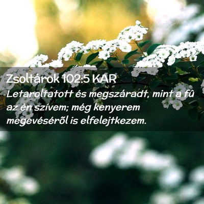 Picture 02 - Zsoltárok 102:5 KAR - Letaroltatott és megszáradt, mint a fû az én - Bible Verse Picture