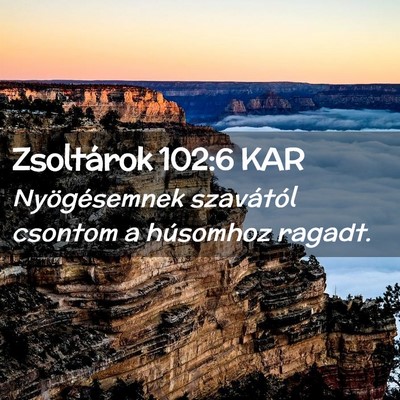Picture 02 - Zsoltárok 102:6 KAR - Nyögésemnek szavától csontom a húsomhoz - Bible Verse Picture