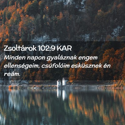 Picture 02 - Zsoltárok 102:9 KAR - Minden napon gyaláznak engem ellenségeim, - Bible Verse Picture