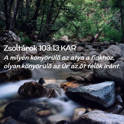 Picture 02 - Zsoltárok 103:13 KAR - A milyen könyörülõ az atya a fiakhoz, olyan - Bible Verse Picture
