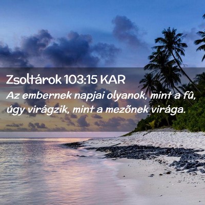 Picture 02 - Zsoltárok 103:15 KAR - Az embernek napjai olyanok, mint a fû, úgy - Bible Verse Picture