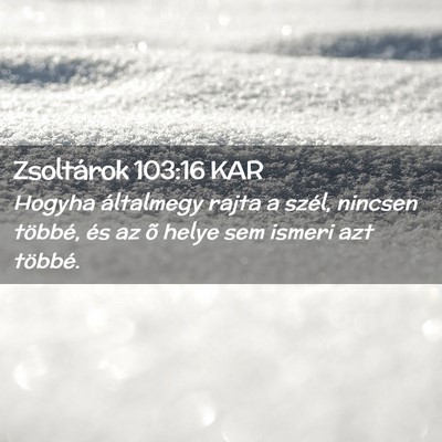 Picture 02 - Zsoltárok 103:16 KAR - Hogyha általmegy rajta a szél, nincsen többé, - Bible Verse Picture