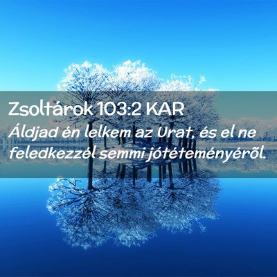 Picture 02 - Zsoltárok 103:2 KAR - Áldjad én lelkem az Urat, és el ne - Bible Verse Picture
