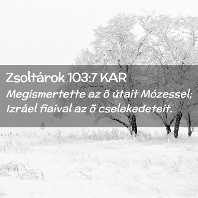 Picture 02 - Zsoltárok 103:7 KAR - Megismertette az õ útait Mózessel; Izráel - Bible Verse Picture