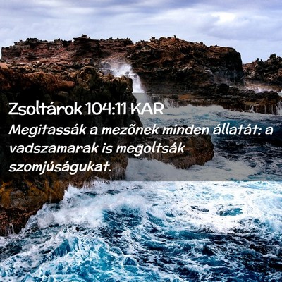 Picture 02 - Zsoltárok 104:11 KAR - Megitassák a mezõnek minden állatát; a - Bible Verse Picture