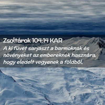 Picture 02 - Zsoltárok 104:14 KAR - A ki füvet sarjaszt a barmoknak és növényeket - Bible Verse Picture