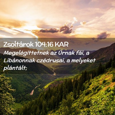 Picture 02 - Zsoltárok 104:16 KAR - Megelégíttetnek az Úrnak fái, a Libánonnak - Bible Verse Picture