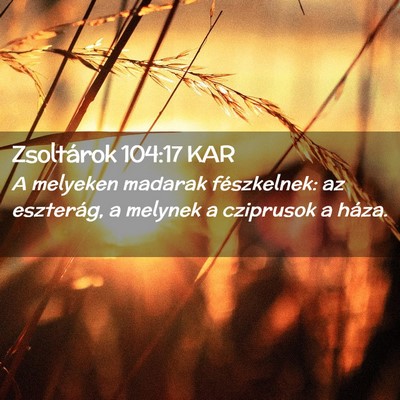 Picture 02 - Zsoltárok 104:17 KAR - A melyeken madarak fészkelnek: az eszterág, a - Bible Verse Picture