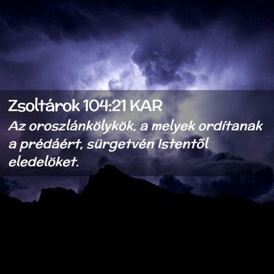 Picture 02 - Zsoltárok 104:21 KAR - Az oroszlánkölykök, a melyek ordítanak a - Bible Verse Picture