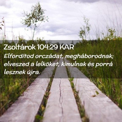 Picture 02 - Zsoltárok 104:29 KAR - Elfordítod orczádat, megháborodnak; elveszed a - Bible Verse Picture