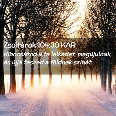Picture 02 - Zsoltárok 104:30 KAR - Kibocsátod a te lelkedet, megújulnak, és - Bible Verse Picture