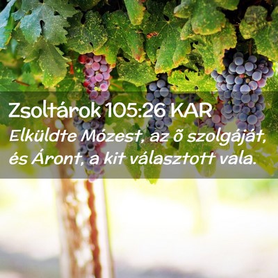 Picture 02 - Zsoltárok 105:26 KAR - Elküldte Mózest, az õ szolgáját, és Áront, - Bible Verse Picture