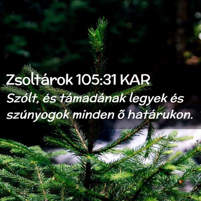 Picture 02 - Zsoltárok 105:31 KAR - Szólt, és támadának legyek és szúnyogok - Bible Verse Picture