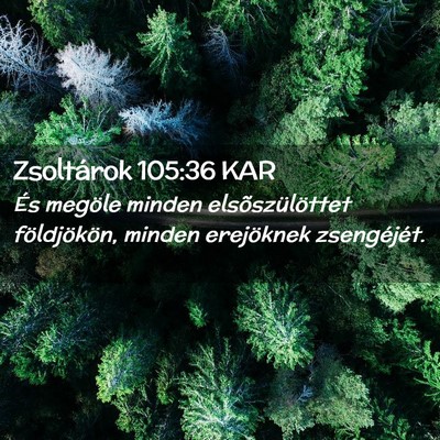 Picture 02 - Zsoltárok 105:36 KAR - És megöle minden elsõszülöttet földjökön, - Bible Verse Picture