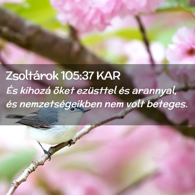 Picture 02 - Zsoltárok 105:37 KAR - És kihozá õket ezüsttel és arannyal, és - Bible Verse Picture