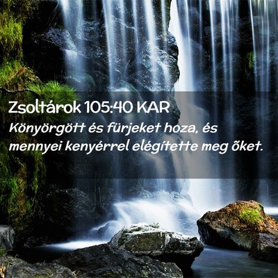 Picture 02 - Zsoltárok 105:40 KAR - Könyörgött és fürjeket hoza, és mennyei - Bible Verse Picture