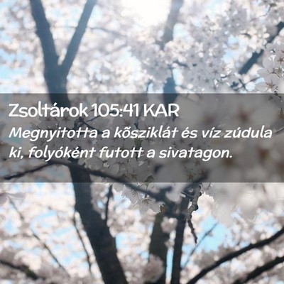 Picture 02 - Zsoltárok 105:41 KAR - Megnyitotta a kõsziklát és víz zúdula ki, - Bible Verse Picture