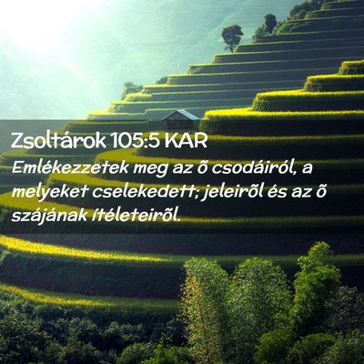 Picture 02 - Zsoltárok 105:5 KAR - Emlékezzetek meg az õ csodáiról, a melyeket - Bible Verse Picture