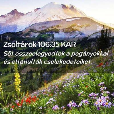 Picture 02 - Zsoltárok 106:35 KAR - Sõt összeelegyedtek a pogányokkal, és - Bible Verse Picture