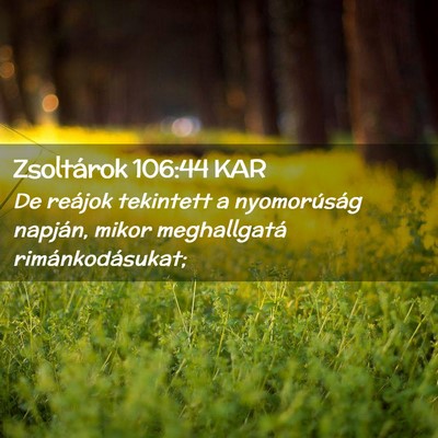 Picture 02 - Zsoltárok 106:44 KAR - De reájok tekintett a nyomorúság napján, - Bible Verse Picture