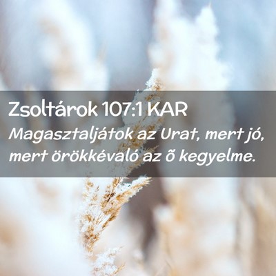 Picture 02 - Zsoltárok 107:1 KAR - Magasztaljátok az Urat, mert jó, mert - Bible Verse Picture