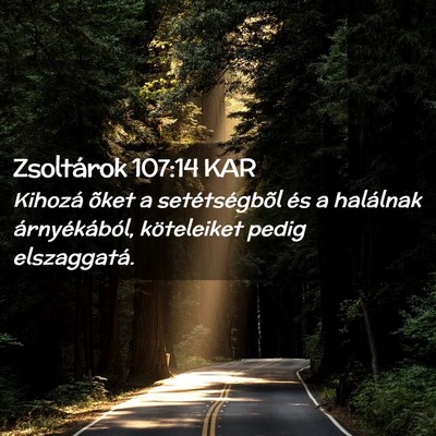 Picture 02 - Zsoltárok 107:14 KAR - Kihozá õket a setétségbõl és a halálnak - Bible Verse Picture