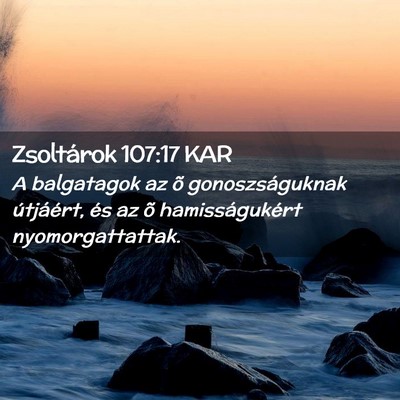 Picture 02 - Zsoltárok 107:17 KAR - A balgatagok az õ gonoszságuknak útjáért, - Bible Verse Picture