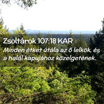 Picture 02 - Zsoltárok 107:18 KAR - Minden étket útála az õ lelkök, és a halál - Bible Verse Picture