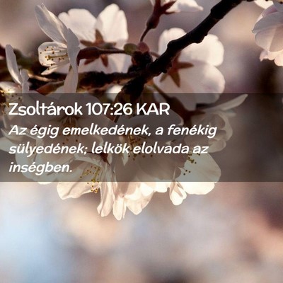 Picture 02 - Zsoltárok 107:26 KAR - Az égig emelkedének, a fenékig sülyedének; - Bible Verse Picture