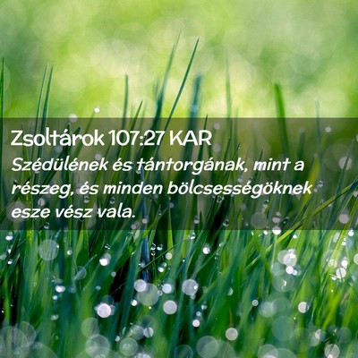 Picture 02 - Zsoltárok 107:27 KAR - Szédülének és tántorgának, mint a részeg, - Bible Verse Picture