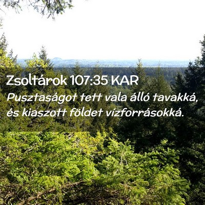 Picture 02 - Zsoltárok 107:35 KAR - Pusztaságot tett vala álló tavakká, és - Bible Verse Picture