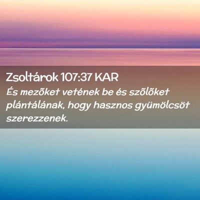 Picture 02 - Zsoltárok 107:37 KAR - És mezõket vetének be és szõlõket - Bible Verse Picture