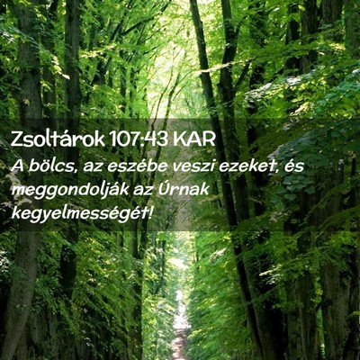 Picture 02 - Zsoltárok 107:43 KAR - A bölcs, az eszébe veszi ezeket, és - Bible Verse Picture