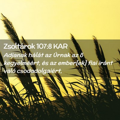 Picture 02 - Zsoltárok 107:8 KAR - Adjanak hálát az Úrnak az õ kegyelméért, - Bible Verse Picture
