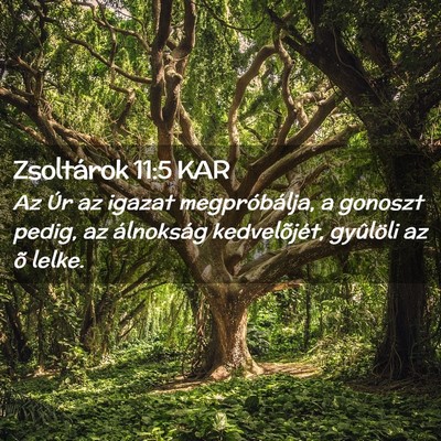 Picture 02 - Zsoltárok 11:5 KAR - Az Úr az igazat megpróbálja, a gonoszt pedig, - Bible Verse Picture