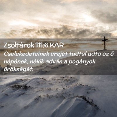 Picture 02 - Zsoltárok 111:6 KAR - Cselekedeteinek erejét tudtul adta az õ - Bible Verse Picture