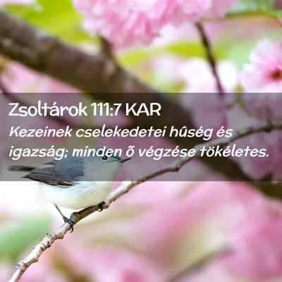 Picture 02 - Zsoltárok 111:7 KAR - Kezeinek cselekedetei hûség és igazság; - Bible Verse Picture