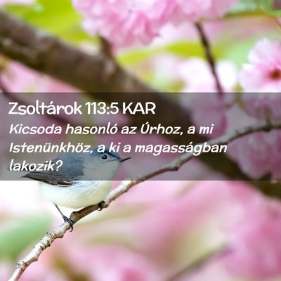 Picture 02 - Zsoltárok 113:5 KAR - Kicsoda hasonló az Úrhoz, a mi Istenünkhöz, a - Bible Verse Picture