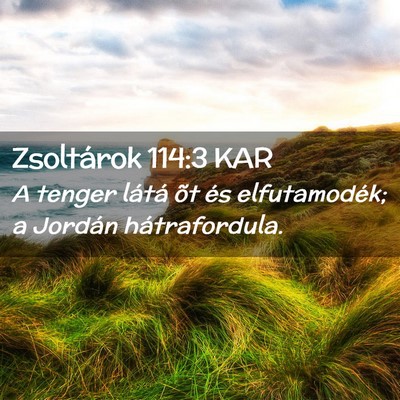 Picture 02 - Zsoltárok 114:3 KAR - A tenger látá õt és elfutamodék; a Jordán - Bible Verse Picture