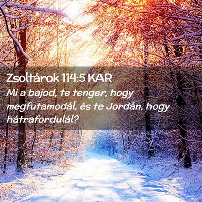 Picture 02 - Zsoltárok 114:5 KAR - Mi a bajod, te tenger, hogy megfutamodál, és te - Bible Verse Picture